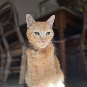 Meet your Posher, Cynthia